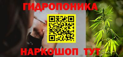 индика Кинель